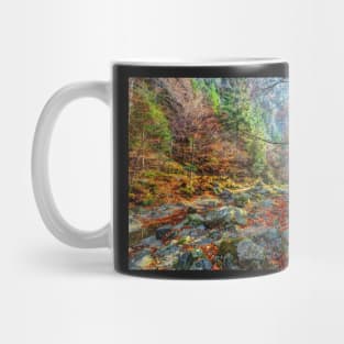 Canyon in mountains Mug